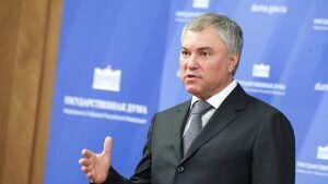    Фото: duma.gov.ru Ирина Амелина
