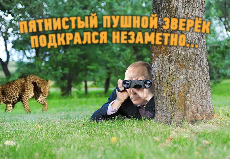 О том, куда делись армады путинских "Армат" в свете новостей про "Леопарды"