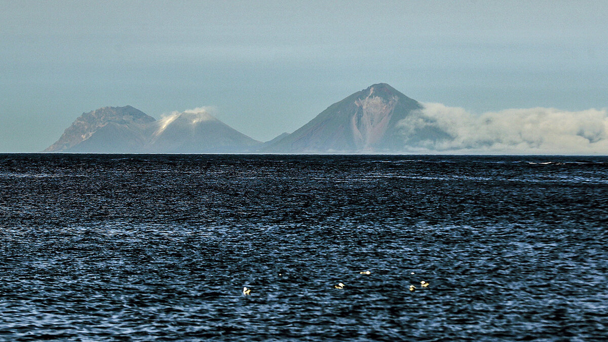    Курильские острова© РИА Новости . Антон Денисов