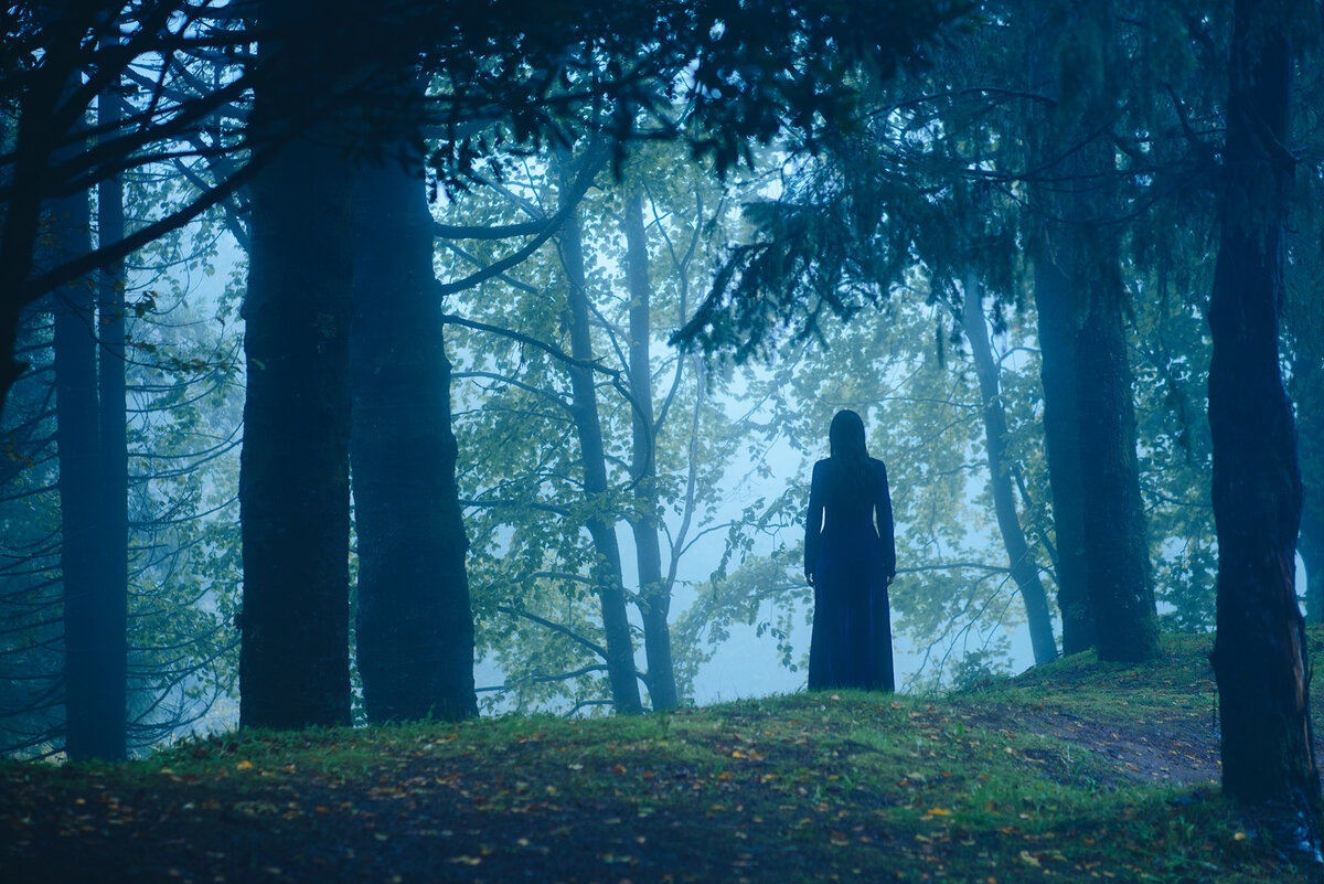 Фото из сети "Интернет"