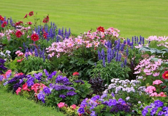 Фото из источника