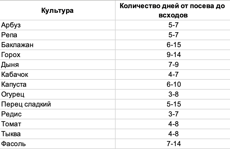 Как проверить всхожесть огурцов. Как проверить всхожесть огурцов