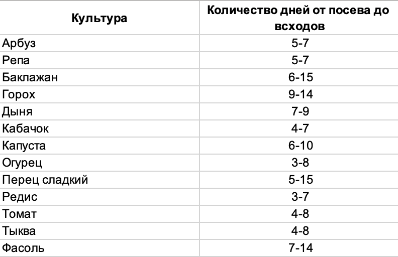 Как проверить семена на всхожесть