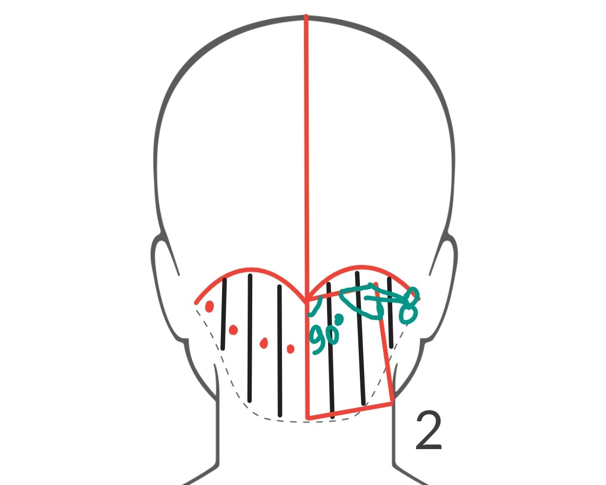 Создание градуировки. Угол среза верхнего угла пряди — 145 градусов. Красные точки означают, что каждая прядь волос простригается на своём месте. 
