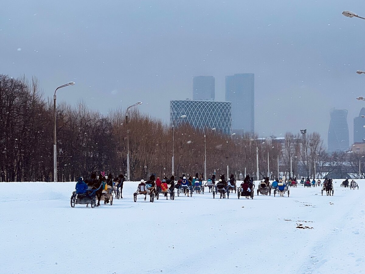 Парад протеста 5 марта. Выехали ВСЕ наездники 