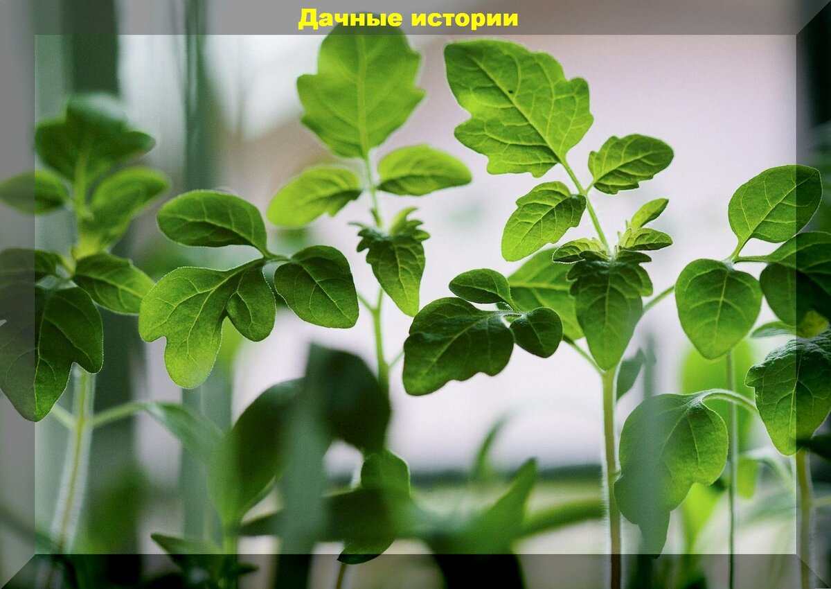 https://vk.com/photo-159774511_457259423