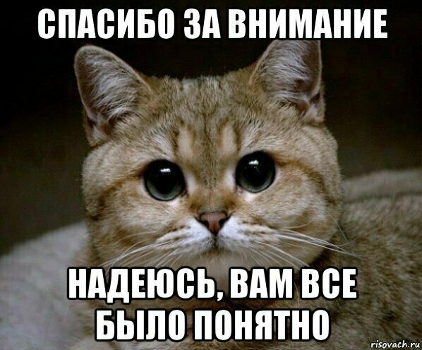 Понять внимание. Данила Пидрила. Спасибо за внимание надеюсь вам было понятно. Спасибо за внимание Мем. Надеюсь вам понравилось для презентации.