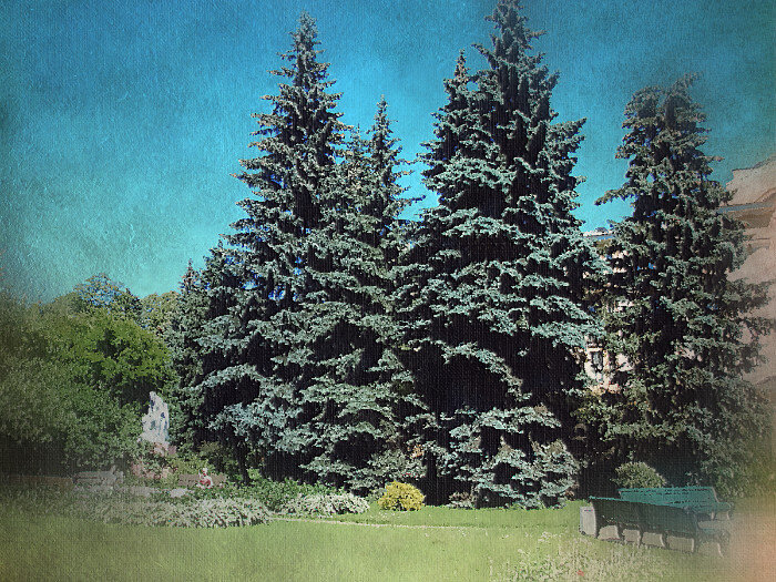 фото из сети