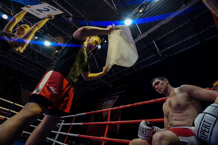 День боксера