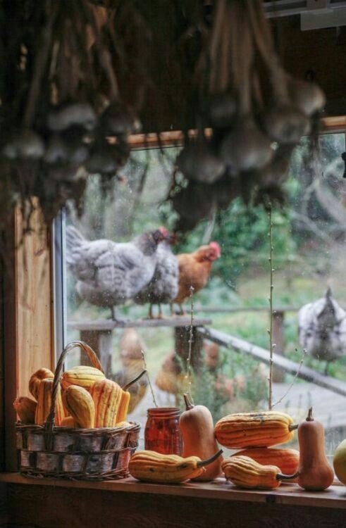  Источник: ru pinterest