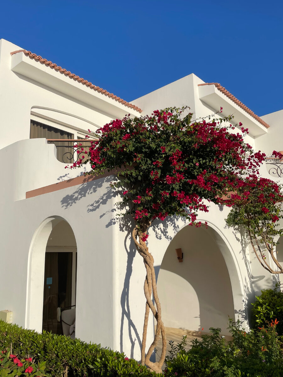 Фото автора. Максимальная зарядка на тепло))