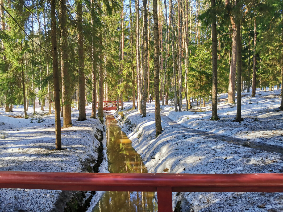 В усадьбе Репина