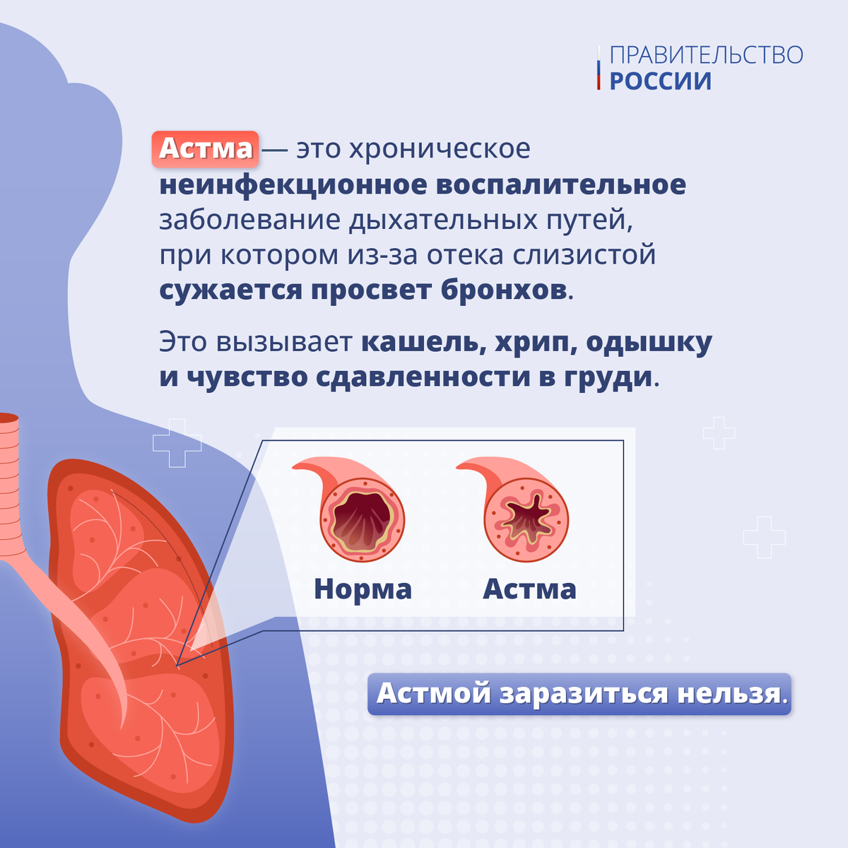 Всемирный день борьбы с астмой презентация