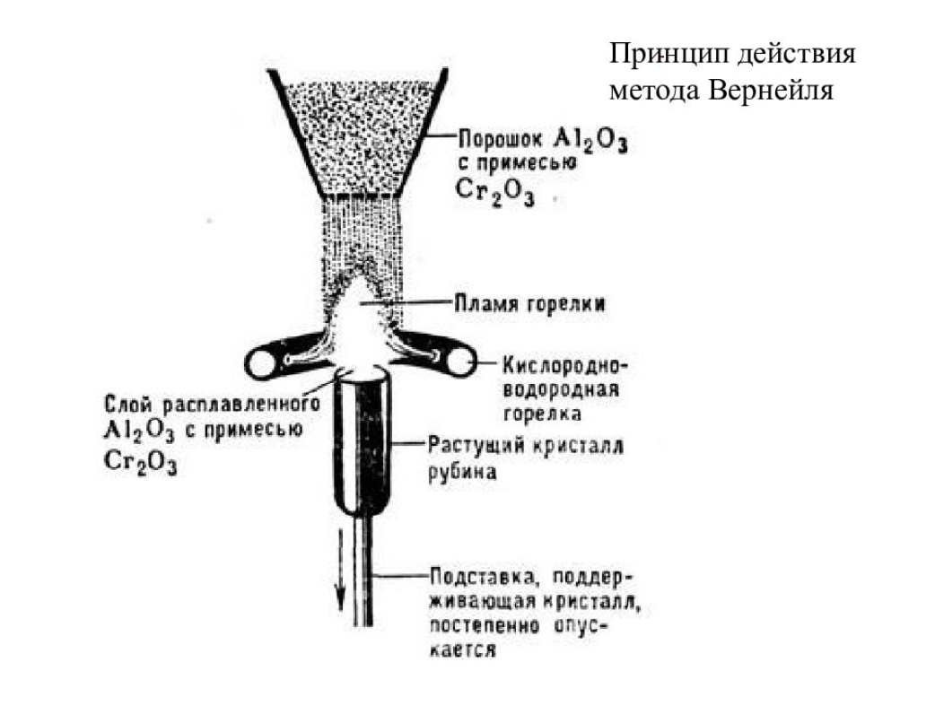 Були, это не питбули)))