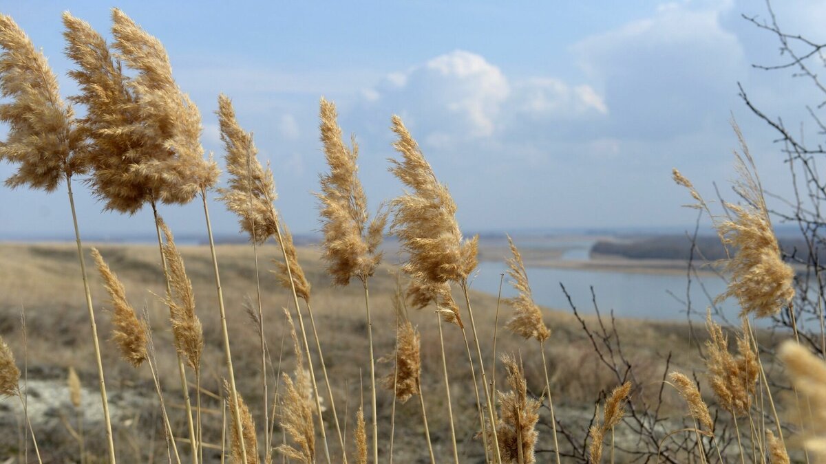     Температура ненадолго изменится. Об этом предупредили синоптики в соцсетях.
