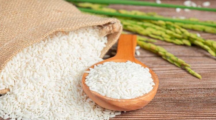 Фото: ru.freepik.com/jcomp