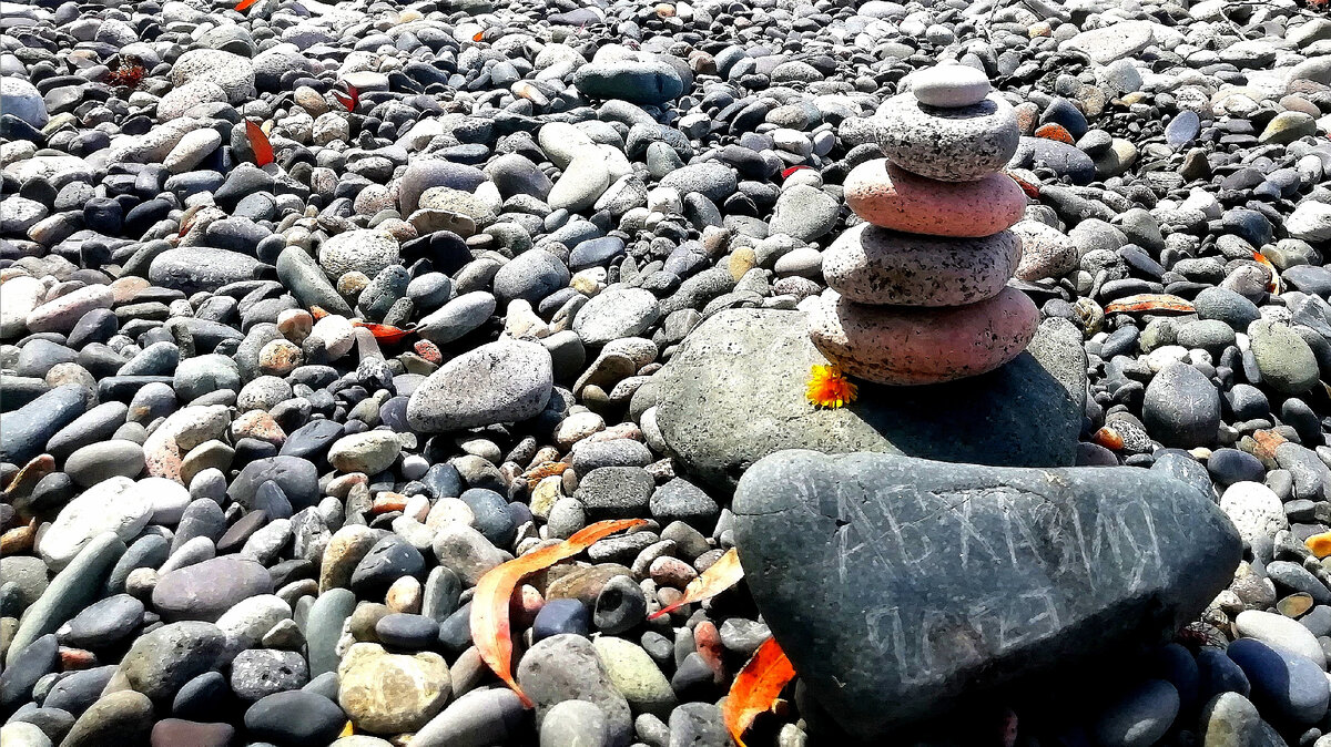 На берегу чёрного моря в Абхазии