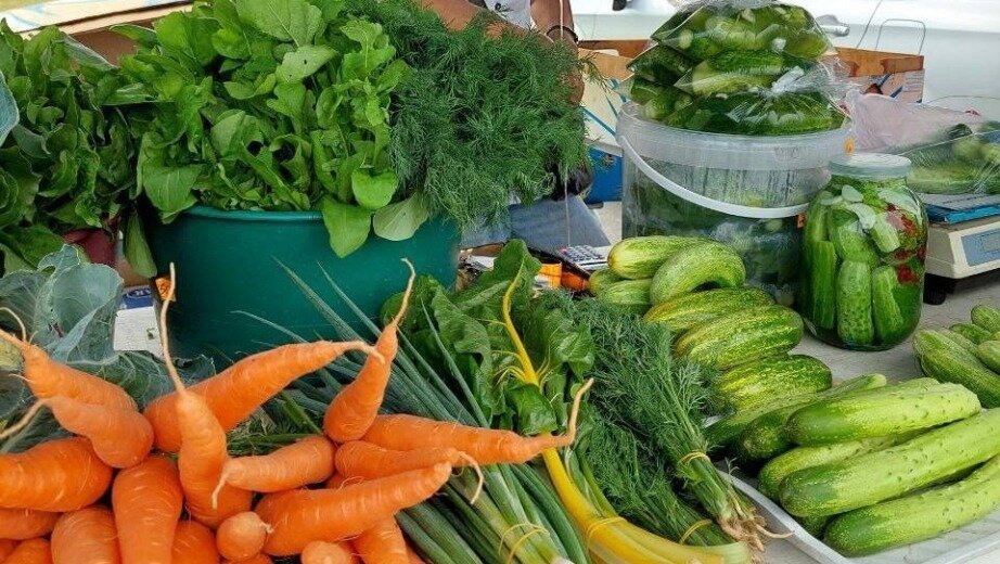     Очередной тематический день прошёл на ярмарке выходного дня около Арены «Ерофей». Помимо мёда, зелени и рассады на прилавках появились первые огурцы, томаты, ранний картофель, цветная капуста и овощи.