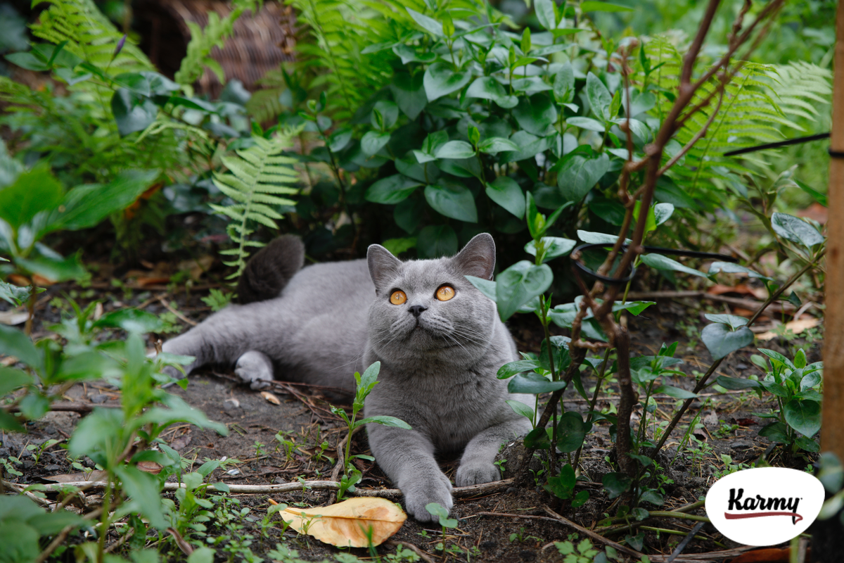 Авторское изображение с использованием картинки с фотостока "Unsplash"