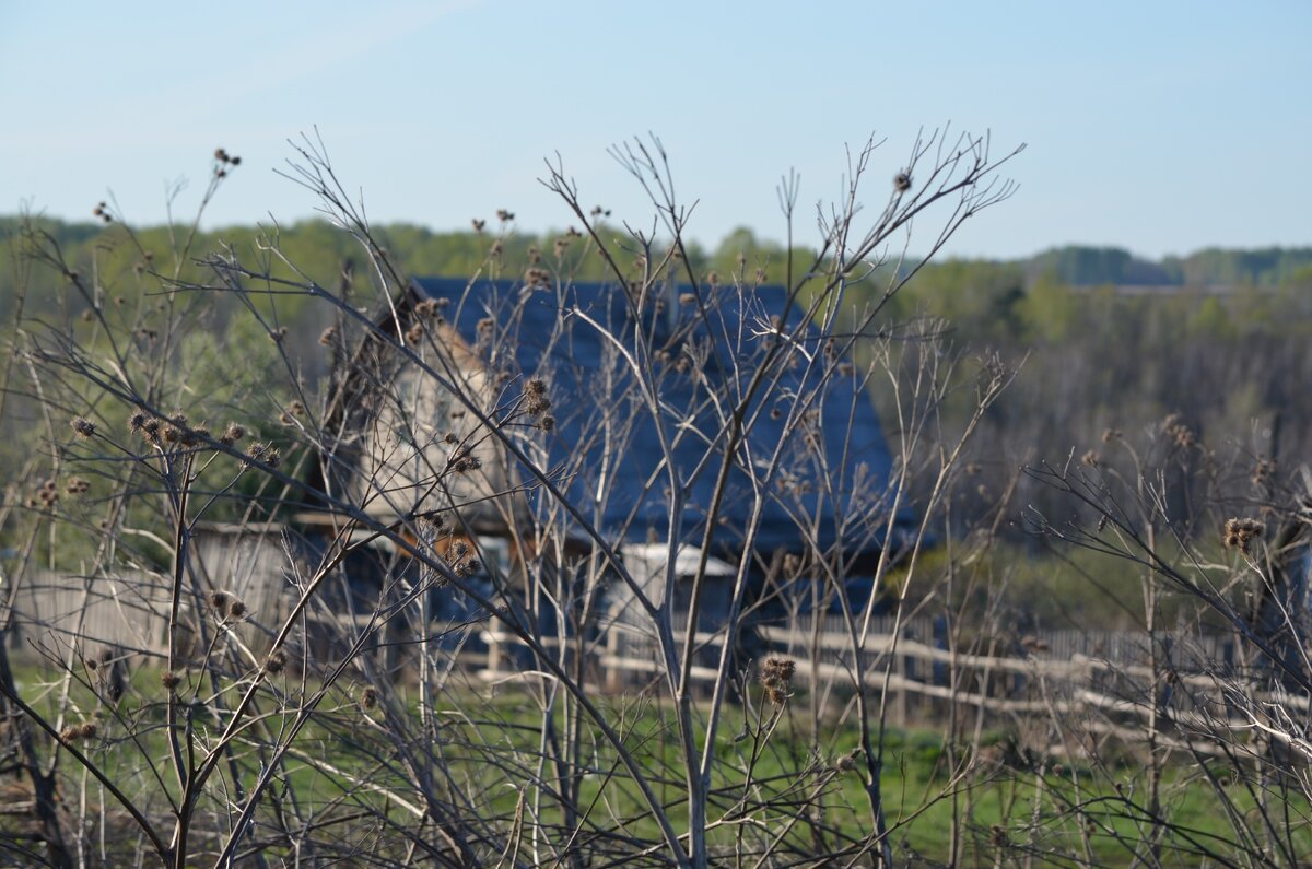 Деревенское. Фото автора