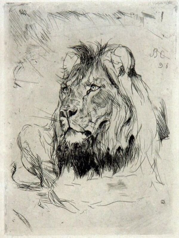 Валентин Серов. Голова льва. Гравюра. 1896. Пермская государственная художественная галерея