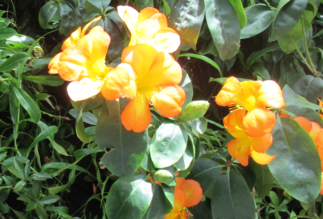 Фото автора, сделано в Сингапуре, март 2020