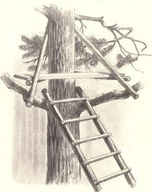 Фото из общедоступных источников в интернете