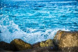 Если бы провели конкурс, что больше всего Вам напоминает море, то на первом месте оказался бы морской ёж: в нескольких ложках драгоценного вкуса, его икра похожа на бриз с моря с привкусом капелек...-2