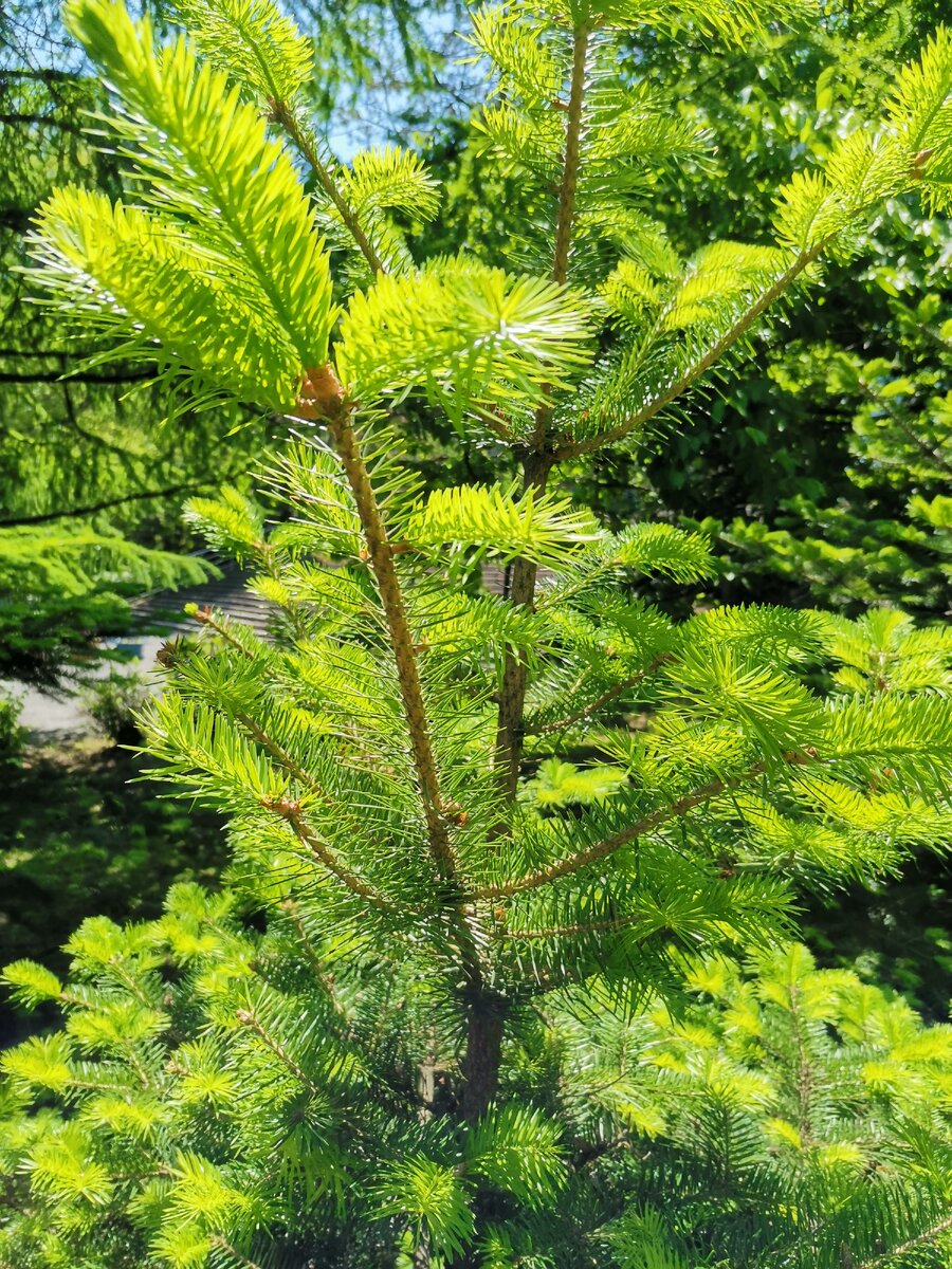 Невероятная детализация 