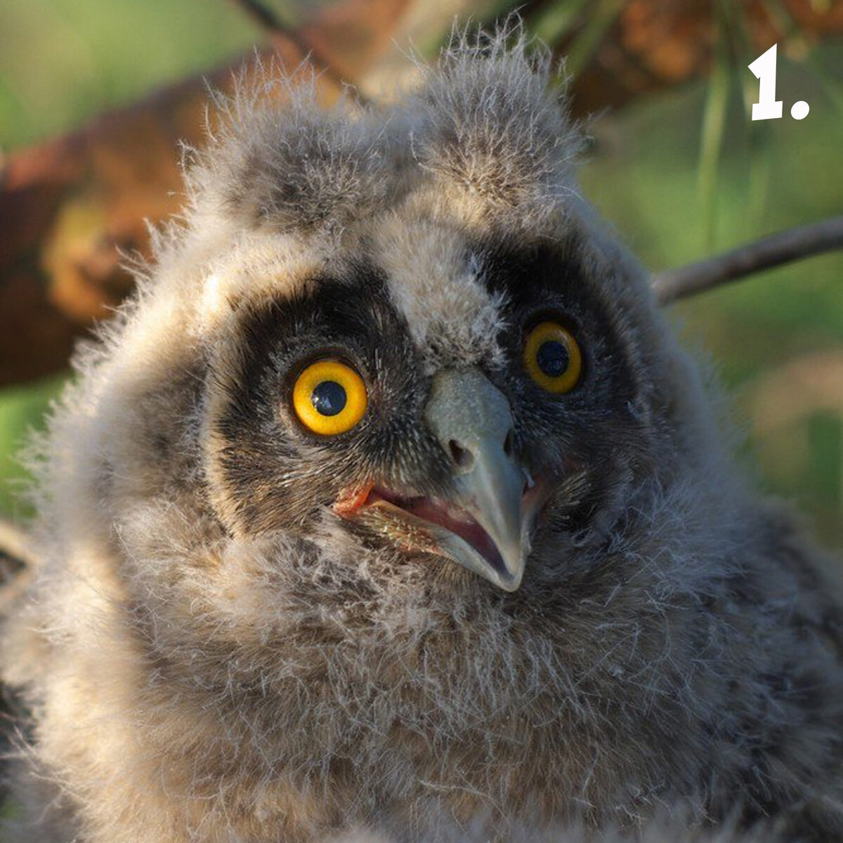 Фото: Анна Дмитриева и Владимир Мельников.