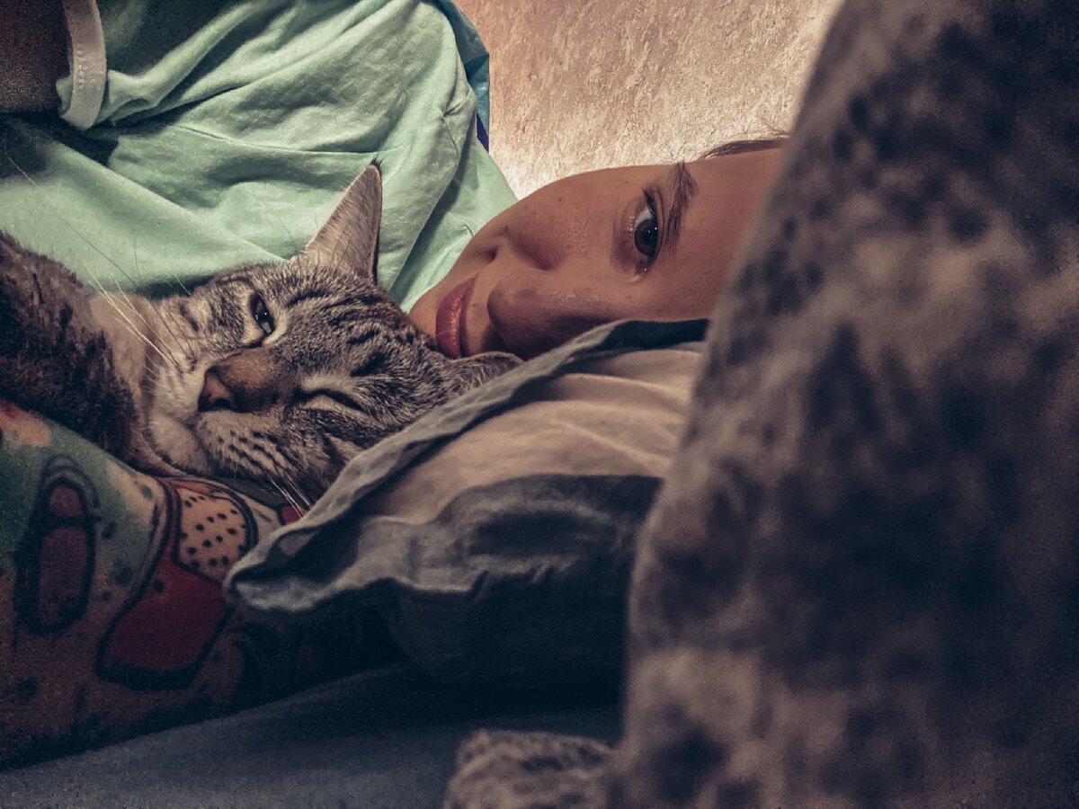 Одна из примет. Бедные котики