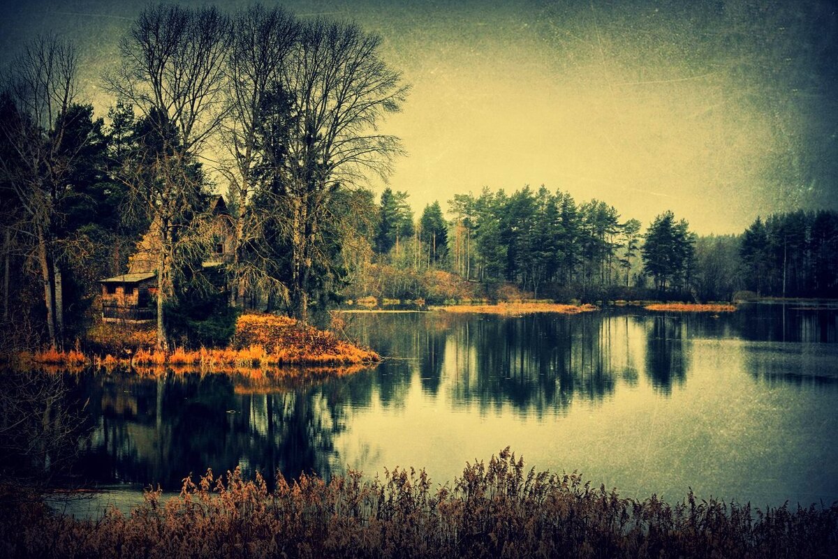 Единственное фото, которое я сделал.