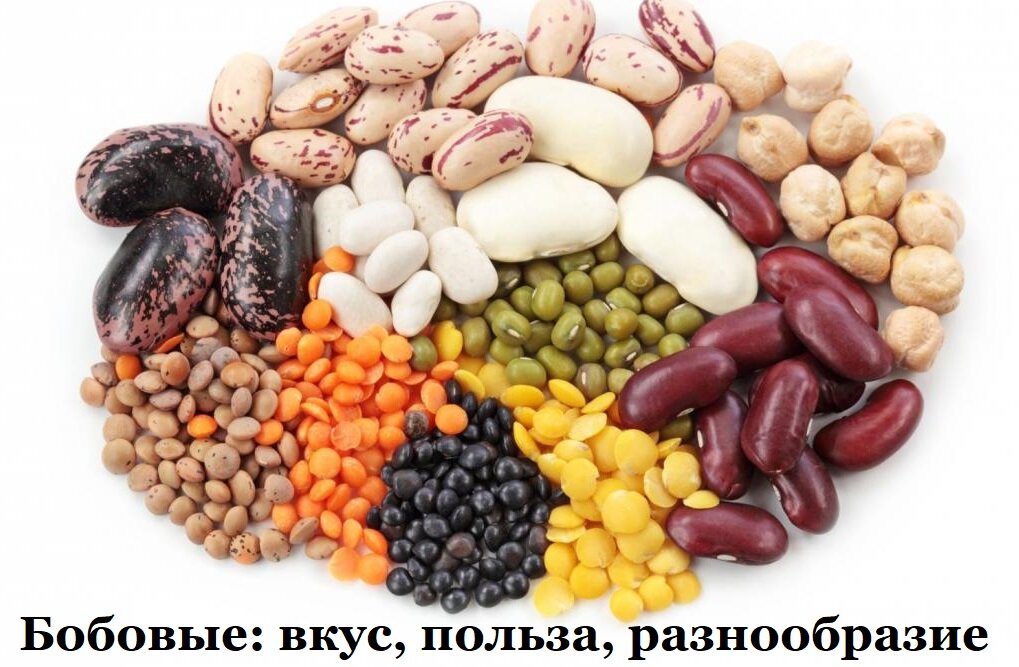 (фото из открытых источников)