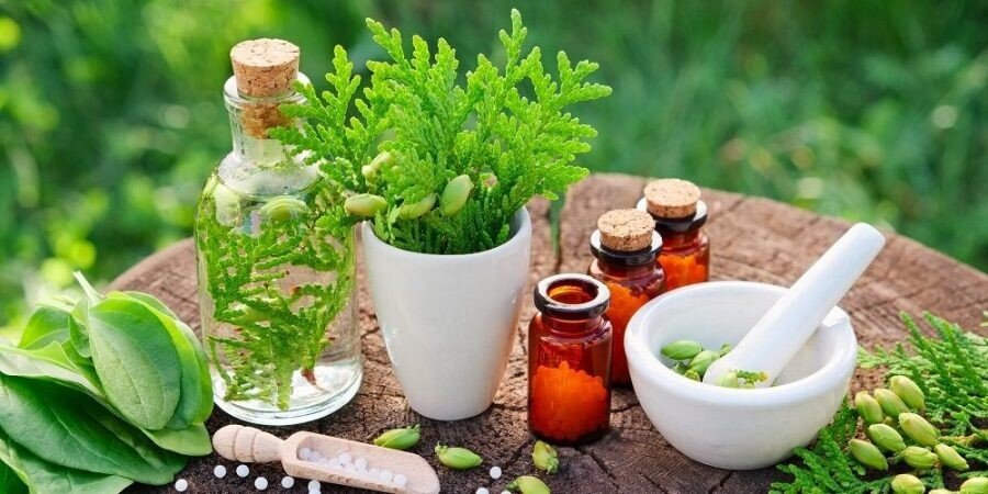 Источник: https://tvojlor.com/lekarstva/zharoponizhayushhie-travy.html - Твой ЛОР 