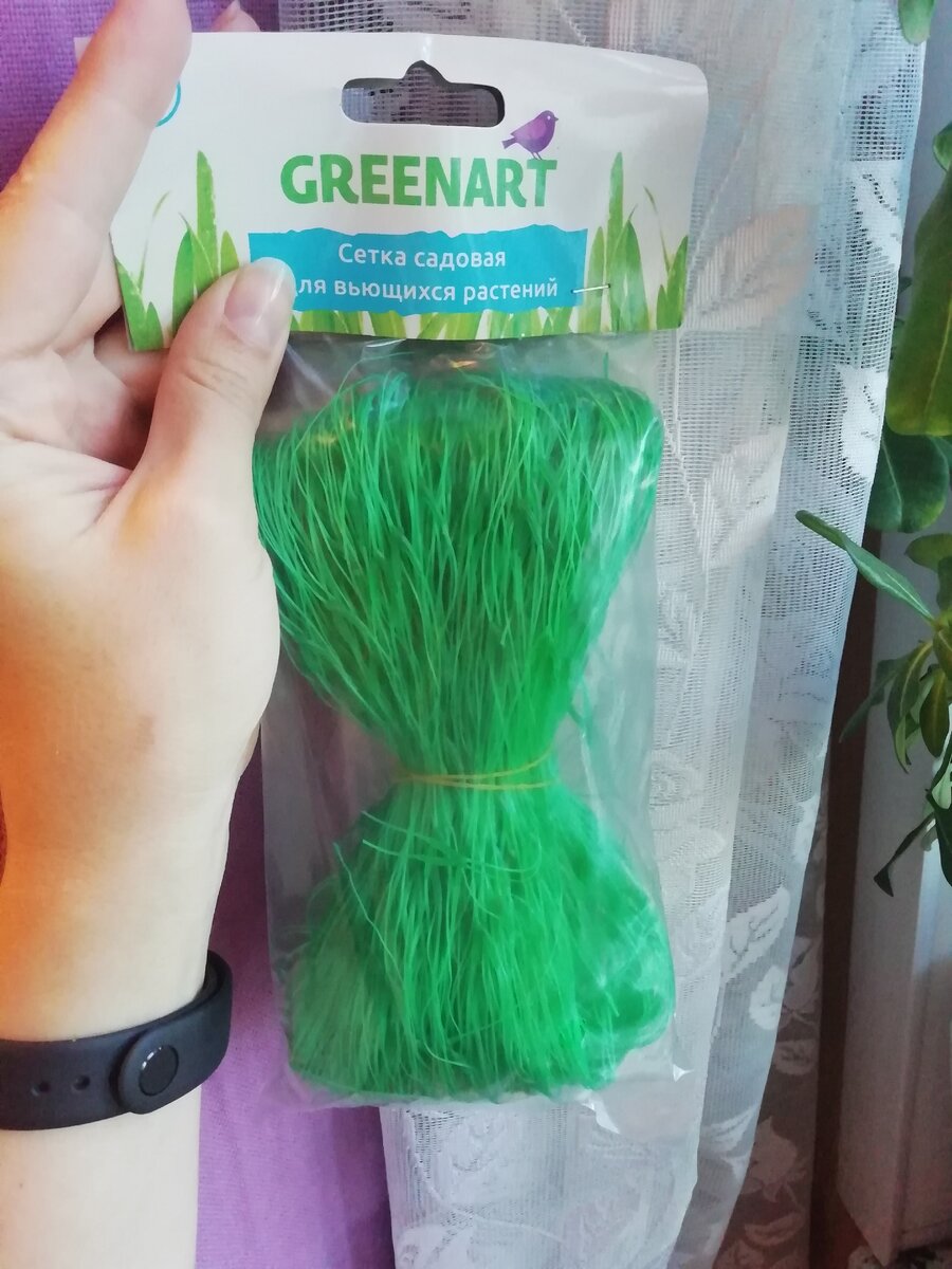 Сетка. Фото автора.