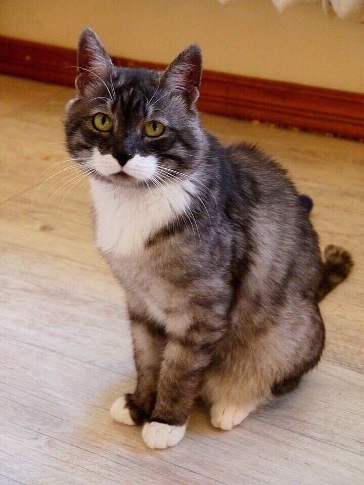 Смотрите, какой красавец))