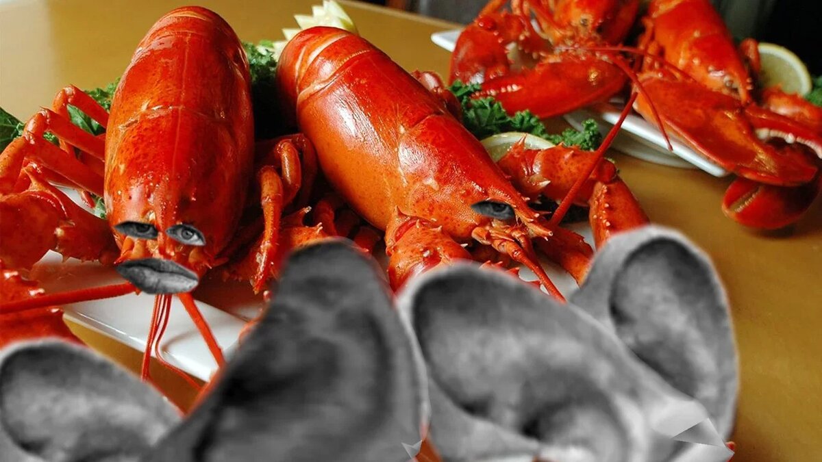 Старые ракообразные .