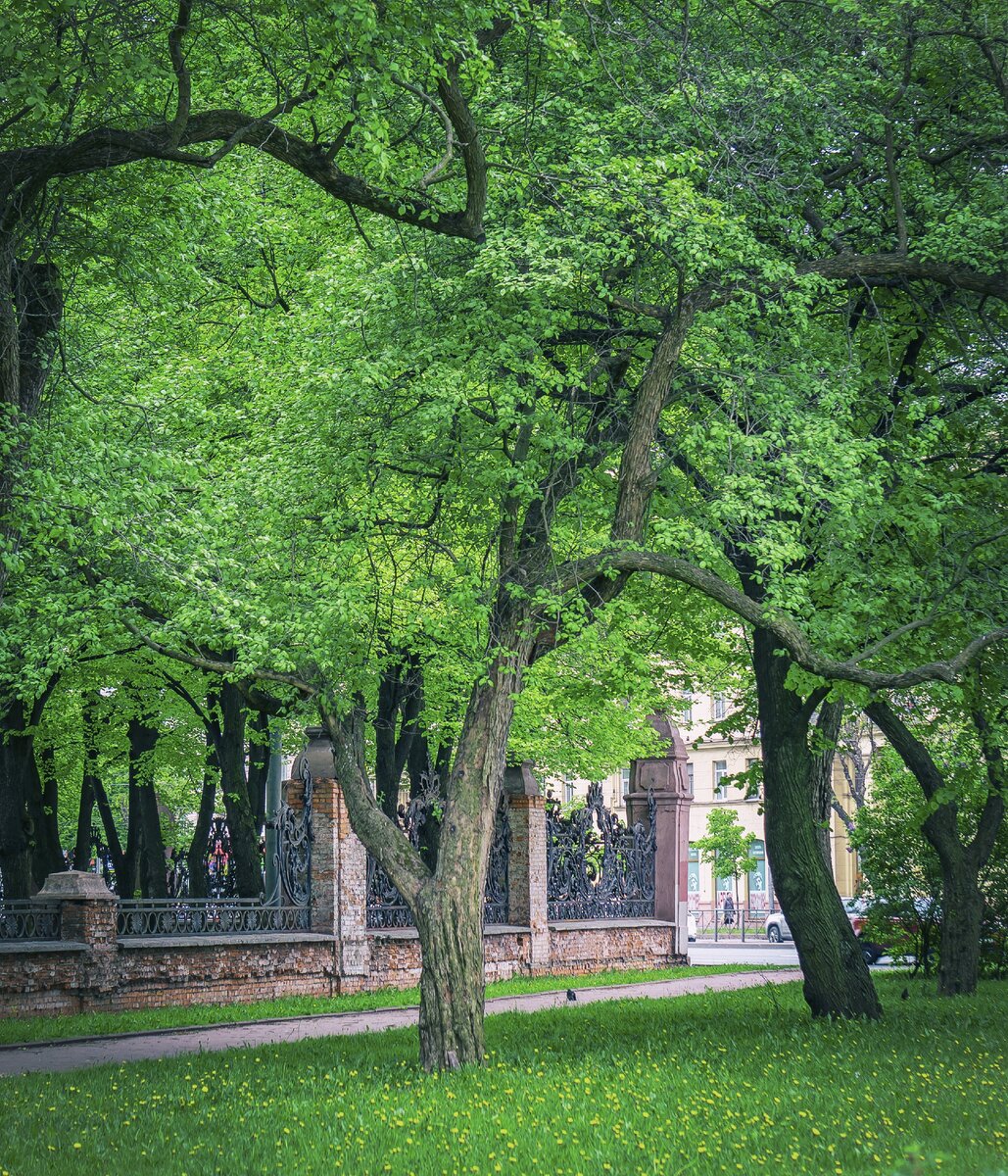 парк 9 января санкт петербург