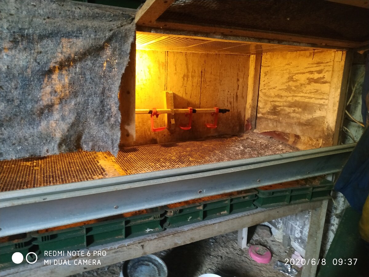 брудер внутри