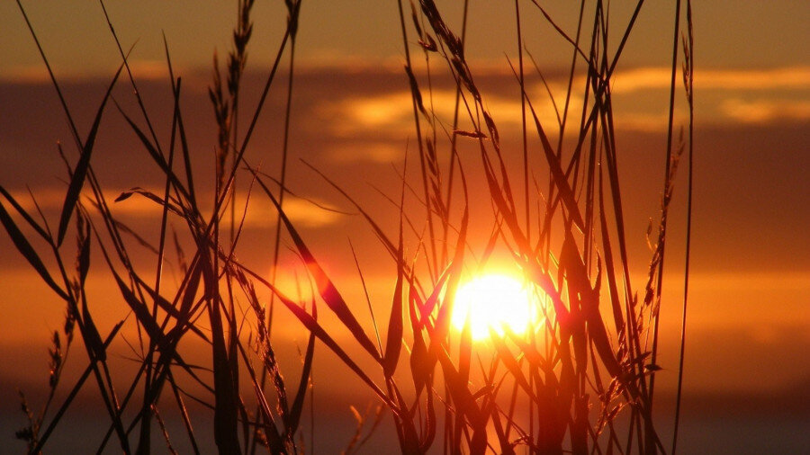 Солнце. Источник: CC0