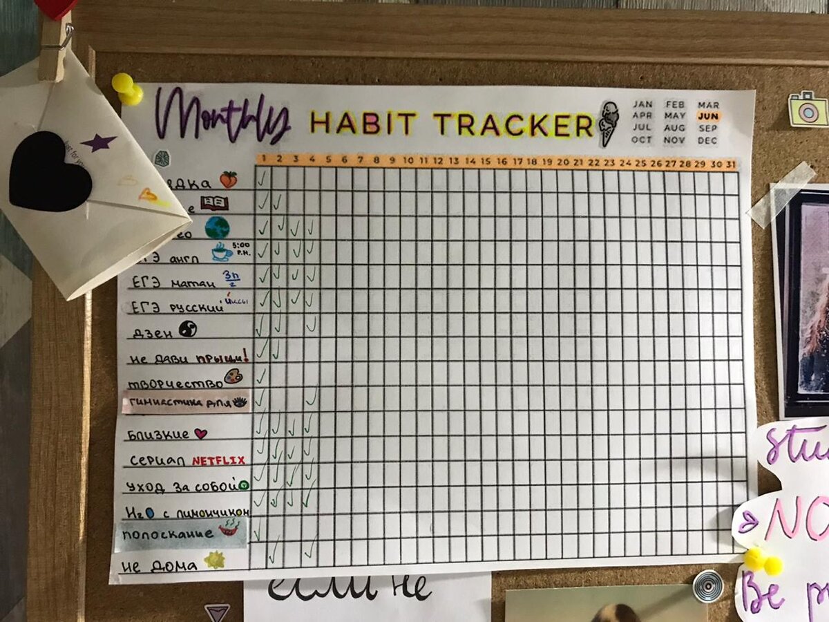 тут расписаны мои основные цели на лето (чтение, занятие спортом, подготовка к ЕГЭ и тд.)