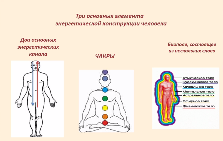 Конструкция человека