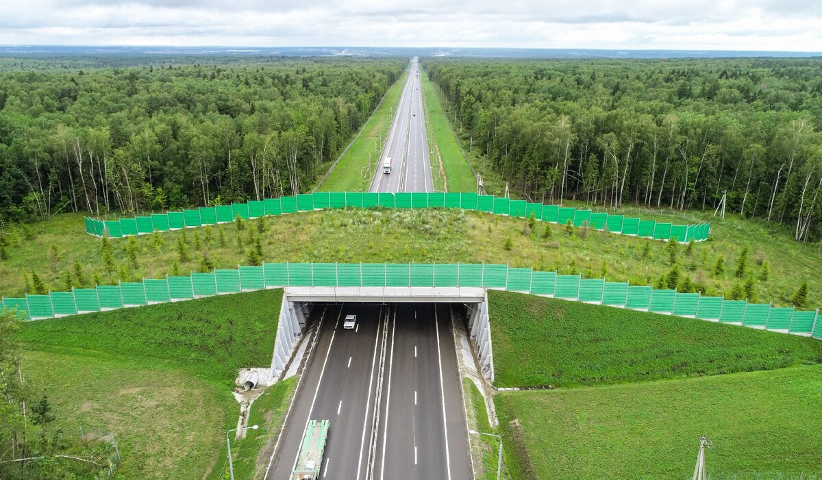 трасса в москву