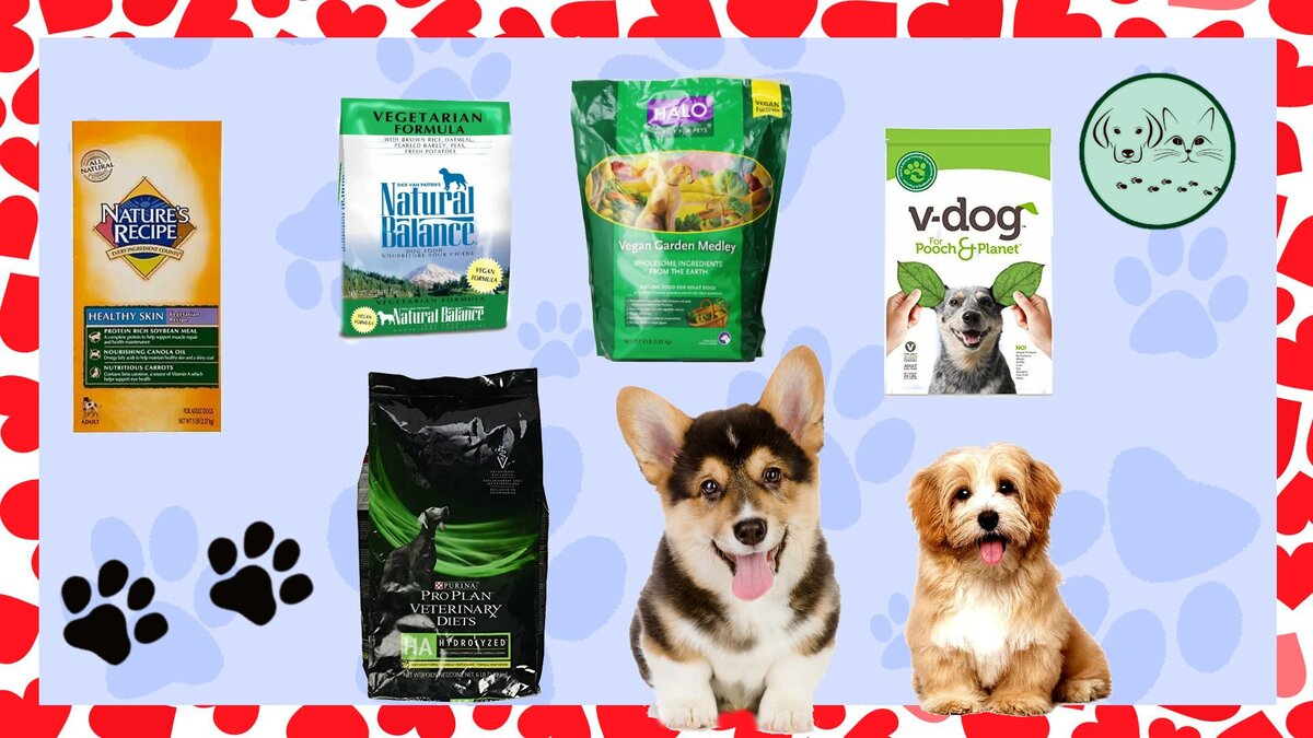 Самые популярные вегетарианские корма