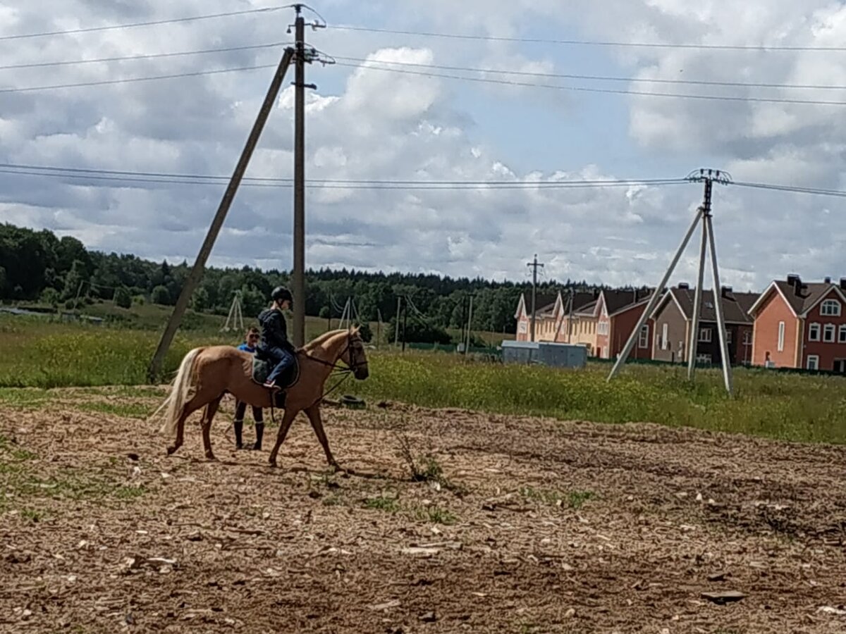 Верховный Суд рассказал о чем спорят дачники