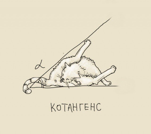 К тригонометрии, как вы можете догадаться, шумеры тоже руку приложили. А сумрачный юморист добавил кота.