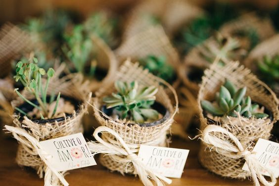 Фотографии с Pinterest