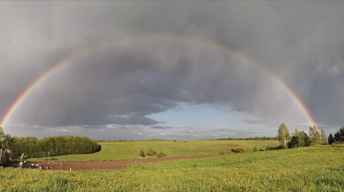 Первые майские солнечные и тёплые дожди... Дарят силу вдохновения... :) 