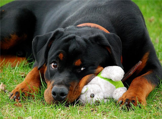 Изображение: livejournal.com