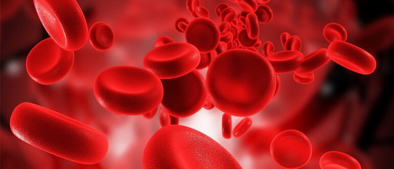 Фото: biofez.com.ua